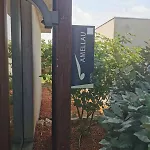 Mas Palat جيغناك