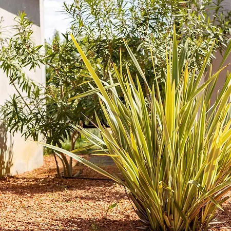 Mas Palat * Gignac (Herault)