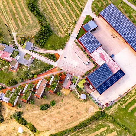 Mas Palat * Gignac (Herault)